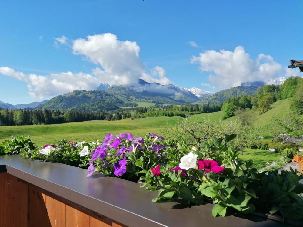Landhaus Bergblick Kössen Buitenkant foto